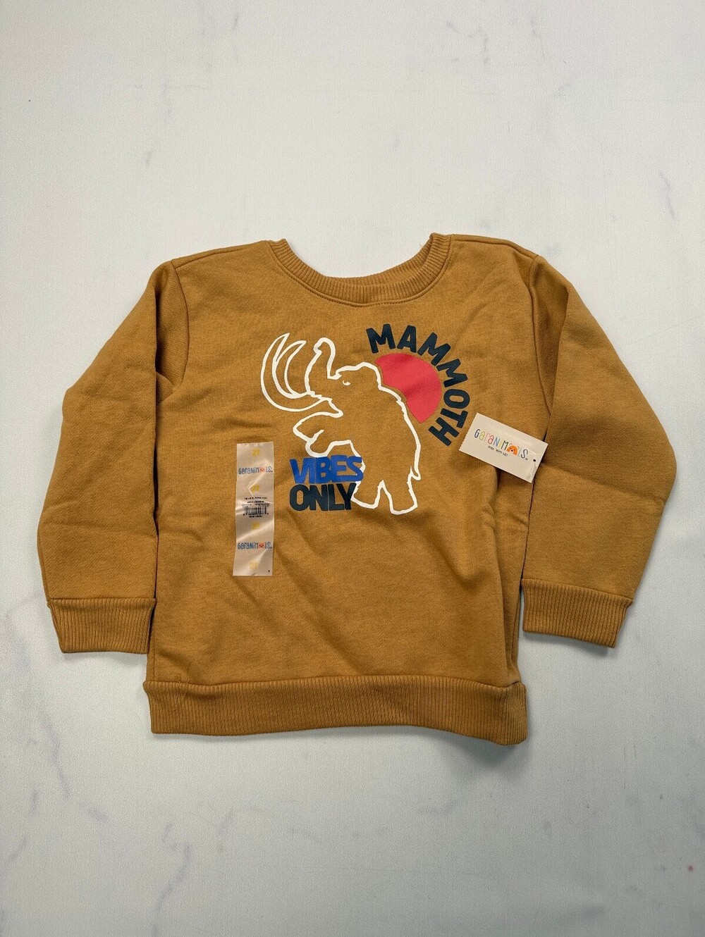 Garanimals Mammoth Sweatshirt Brown Modern Streetwear - Boys 2T